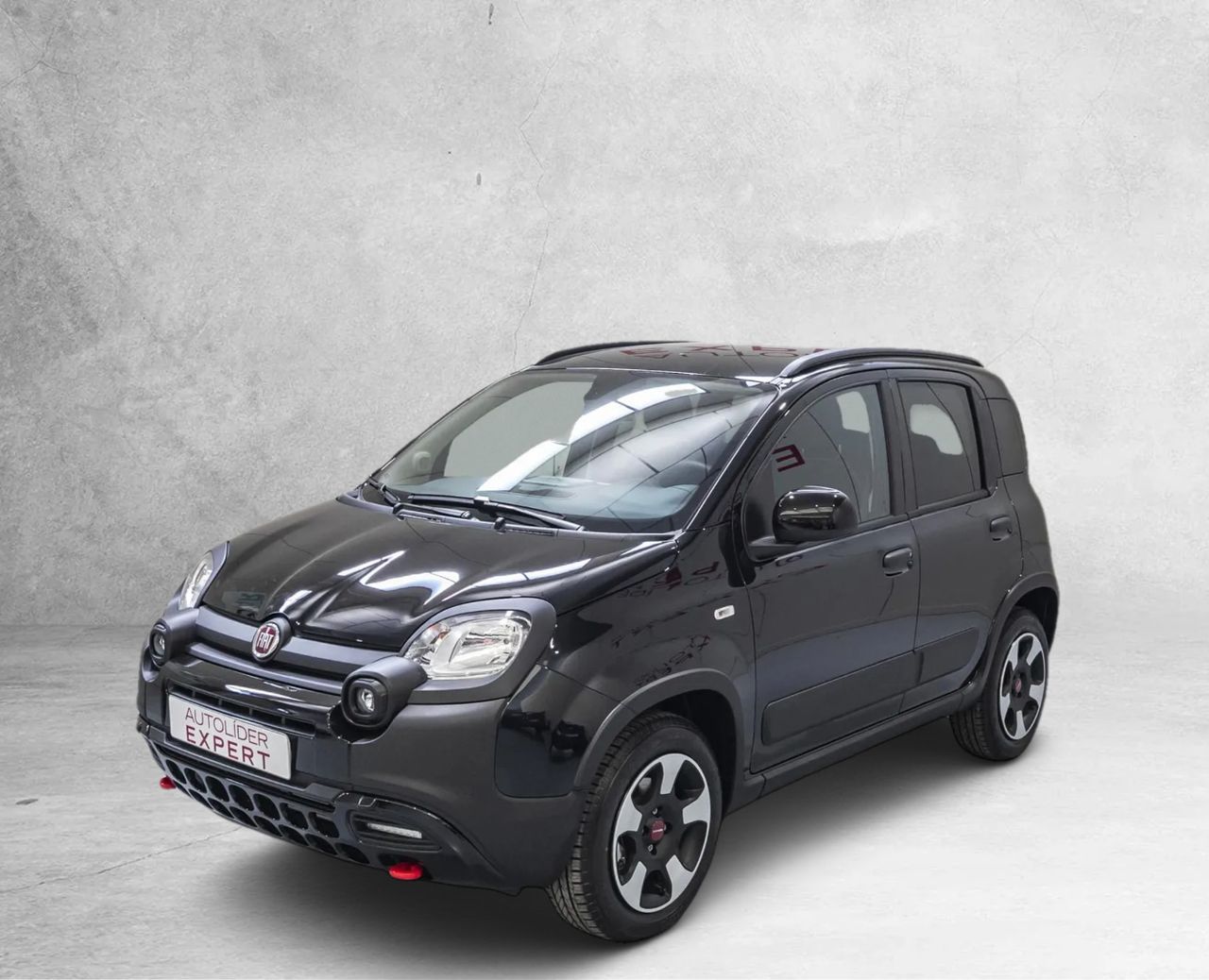 Foto Fiat Panda 1