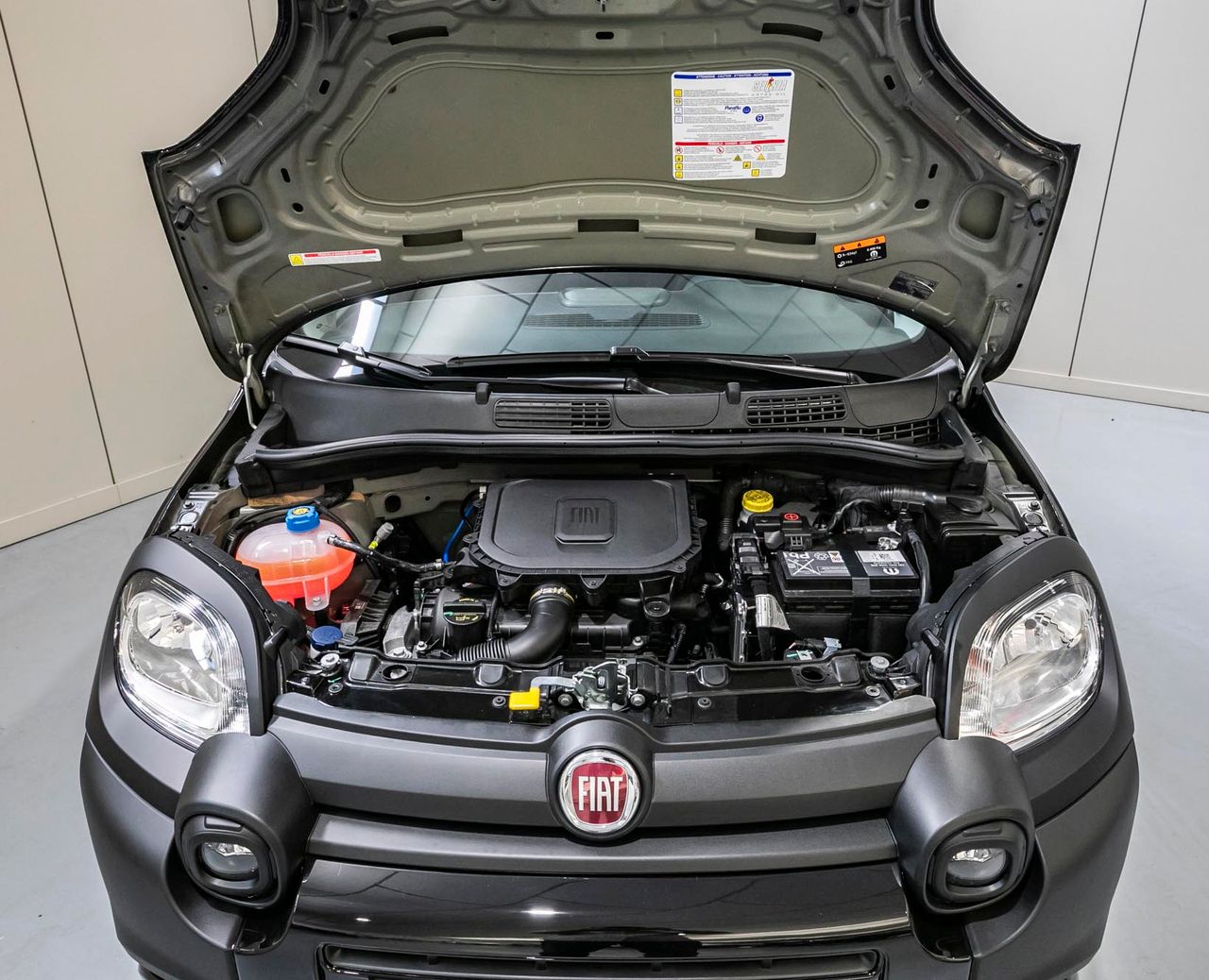 Foto Fiat Panda 31