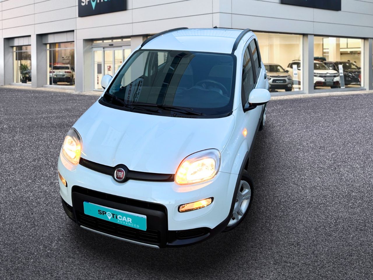 Foto Fiat Panda 21