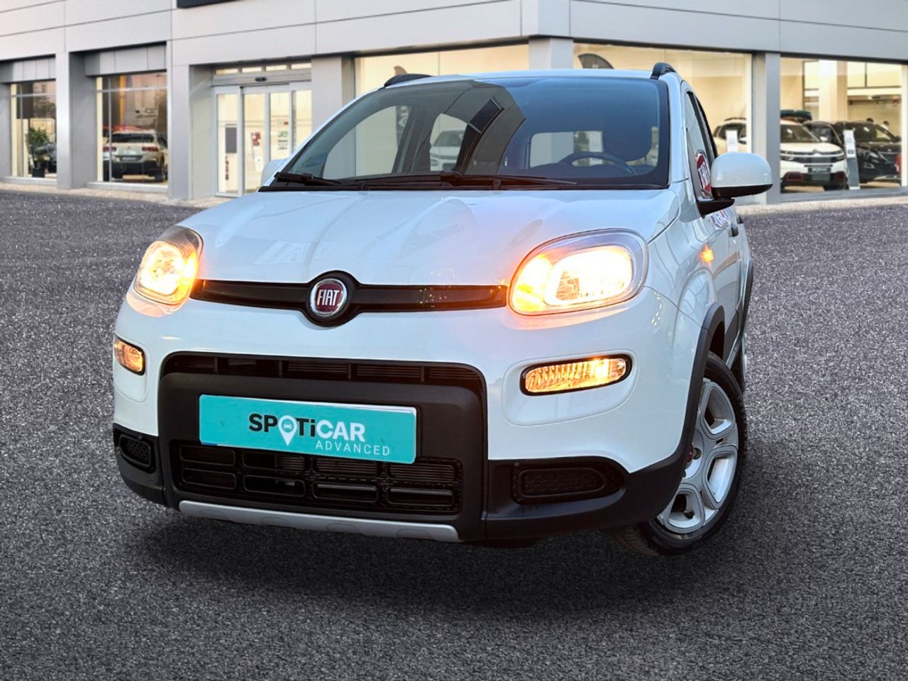 Foto Fiat Panda 22