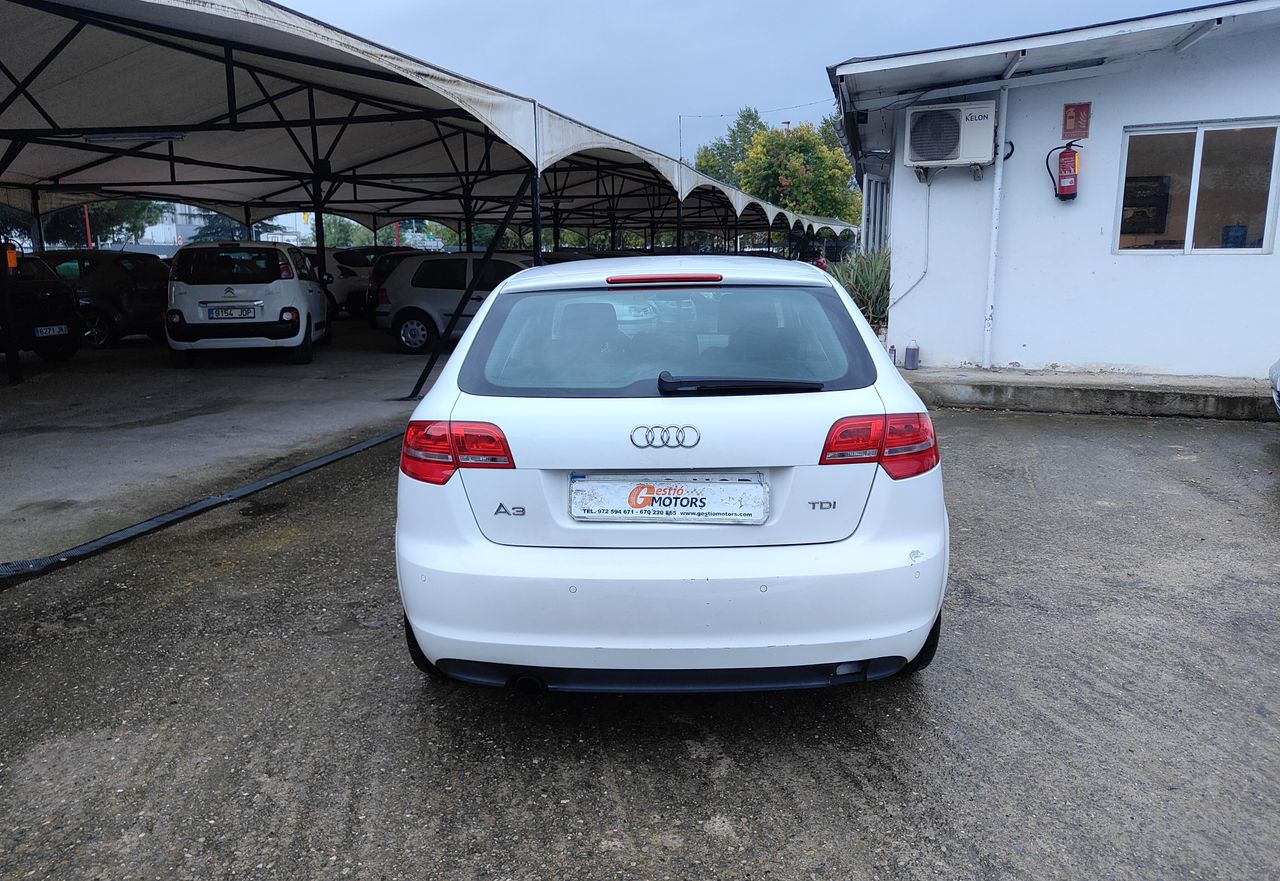 Foto Audi A3 8