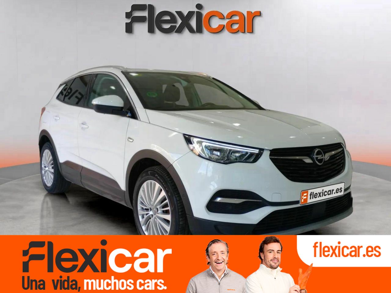 Foto Opel Grandland X 1
