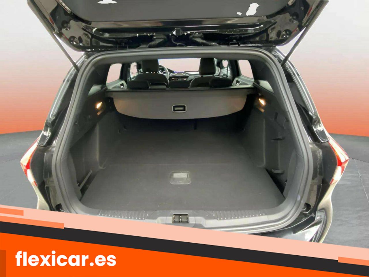 Foto Ford Focus 17