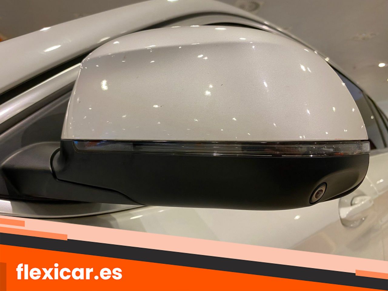 Foto BMW X4 50
