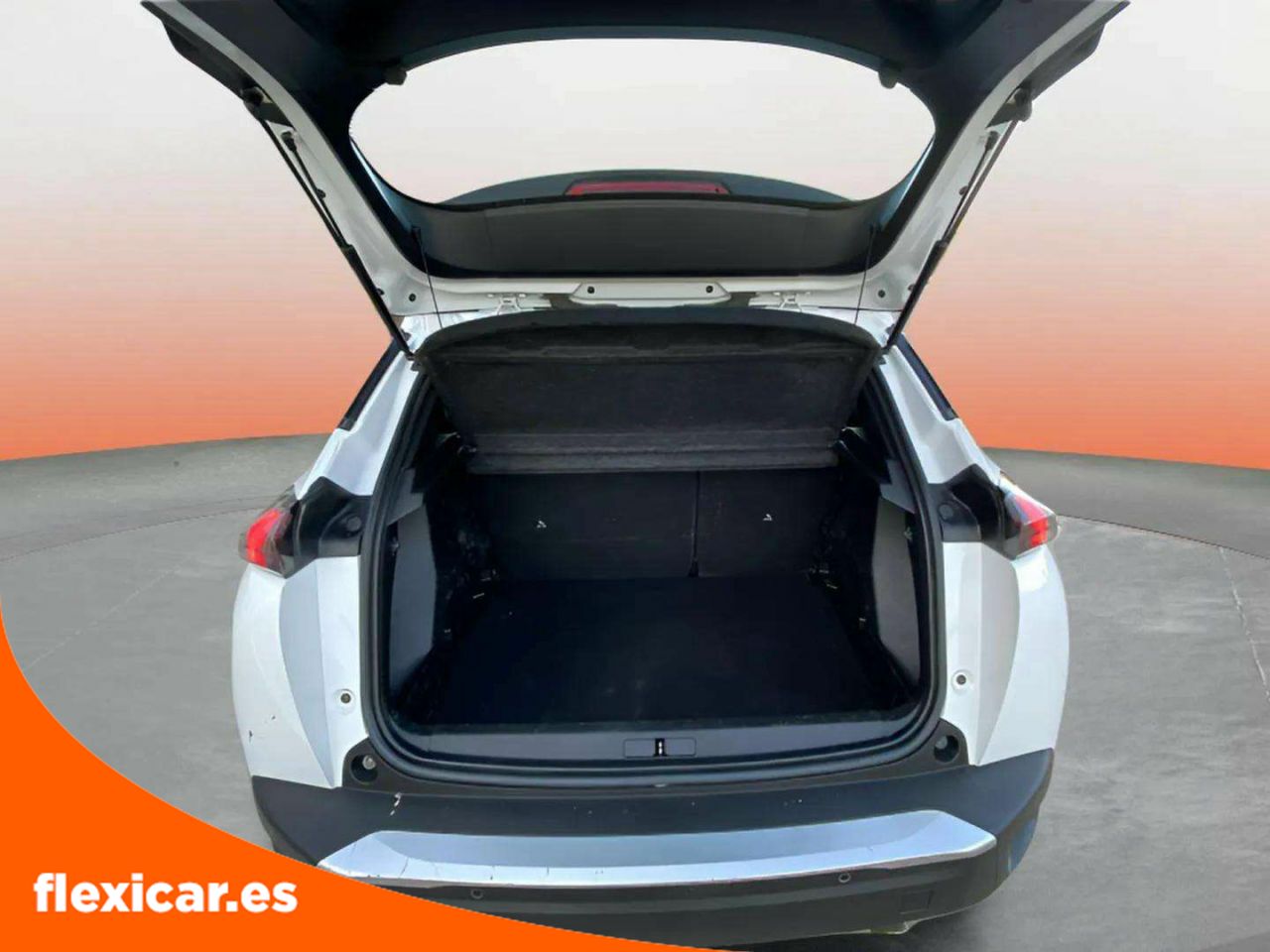 Foto Peugeot 2008 15