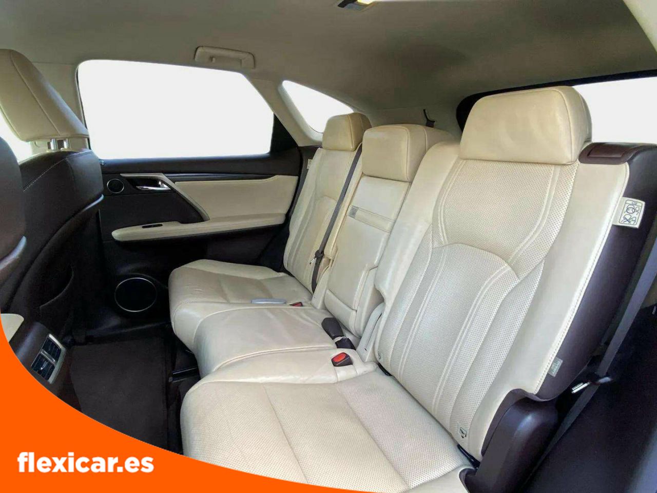 Foto Lexus RX 18
