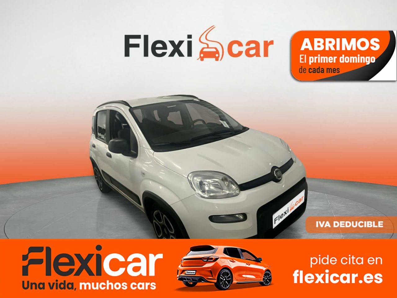 Foto Fiat Panda 1