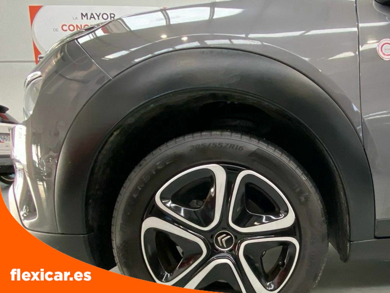 Foto Citroën C4 Cactus 25