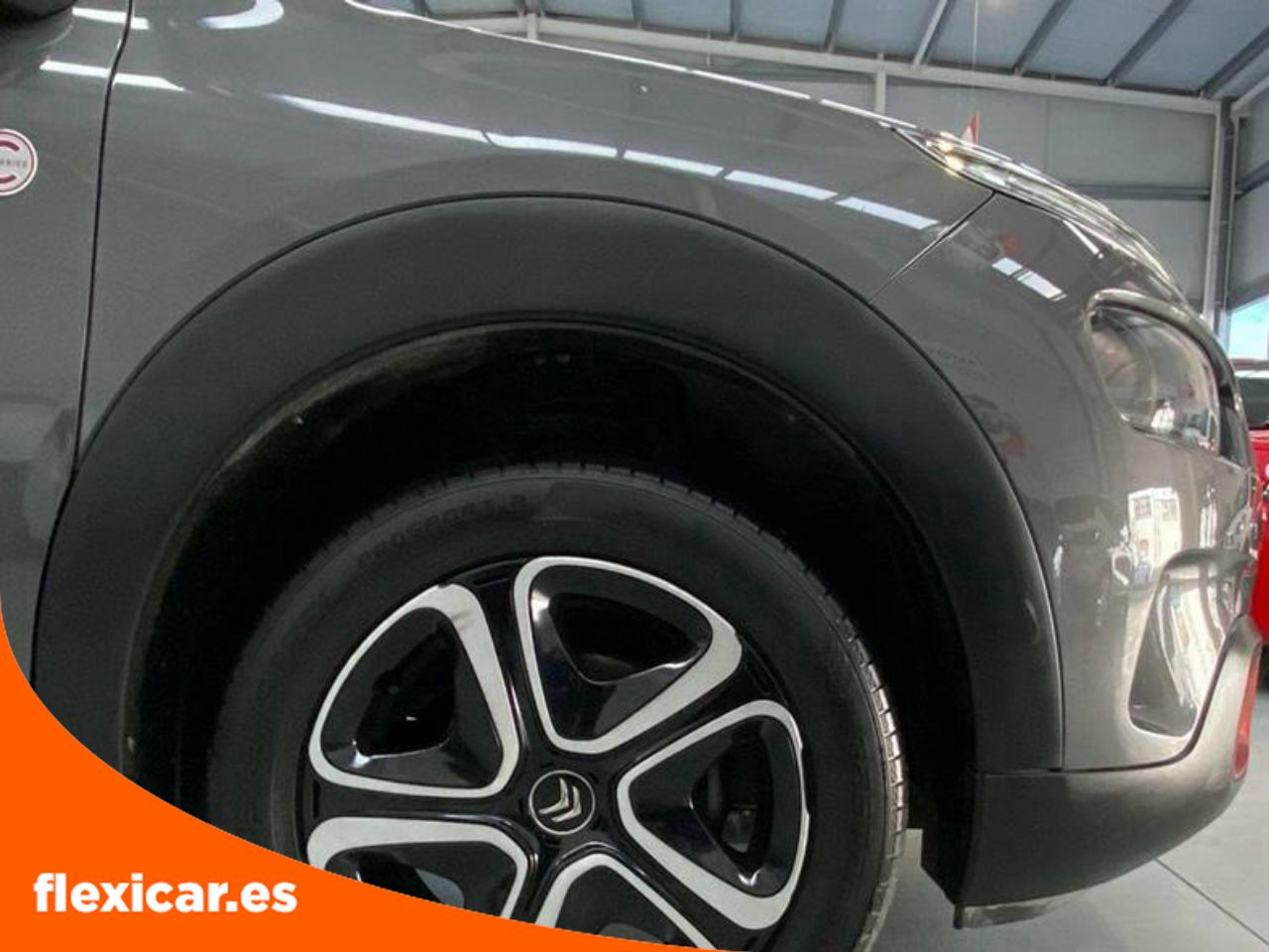 Foto Citroën C4 Cactus 26