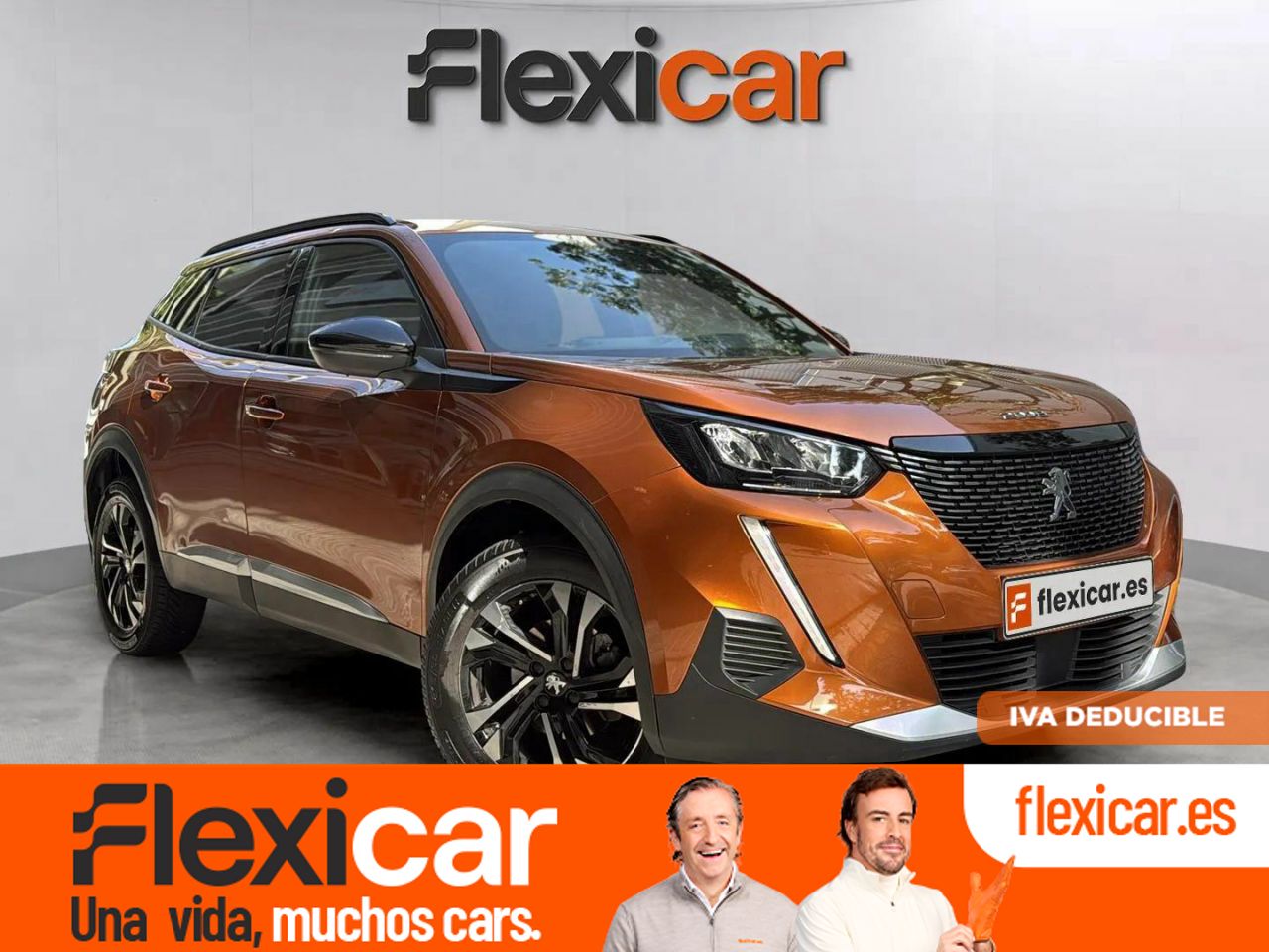 Foto Peugeot 2008 1