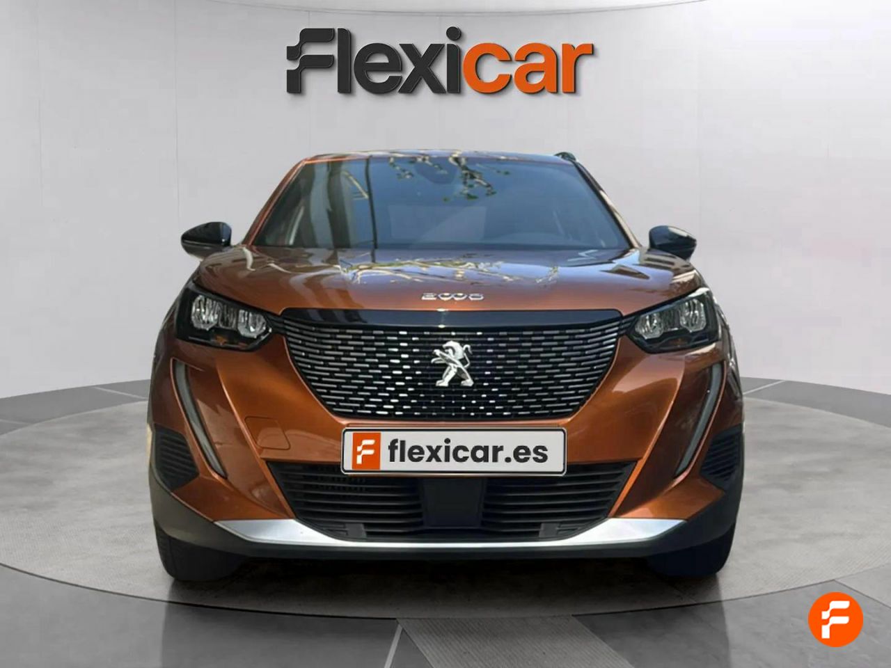 Foto Peugeot 2008 9