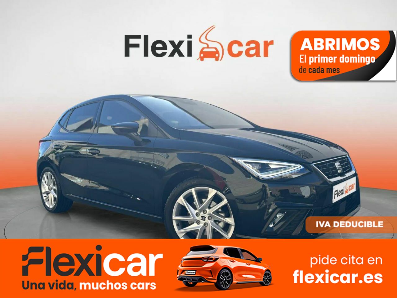Foto Seat Ibiza 1