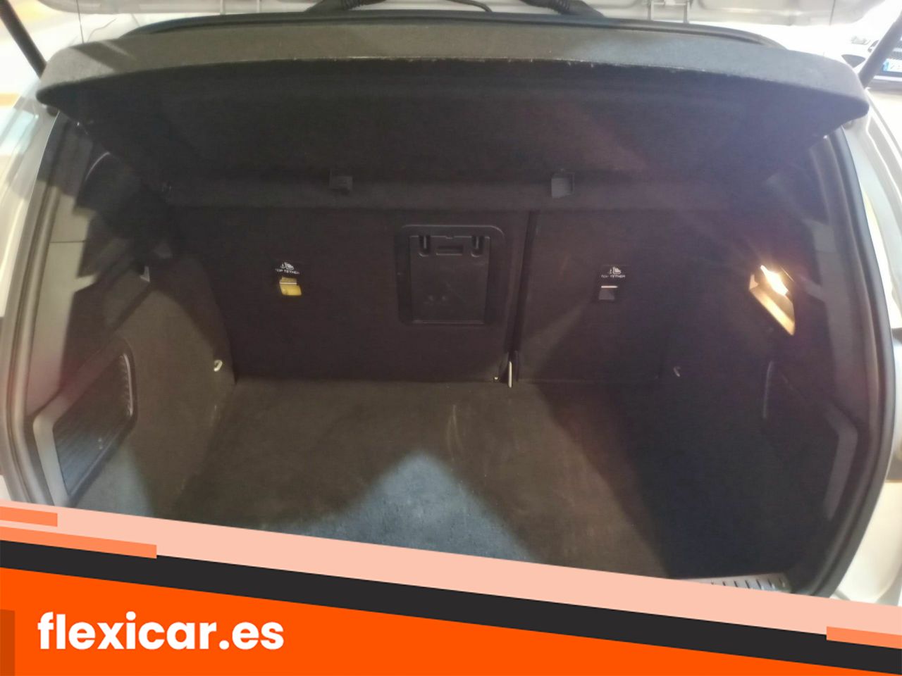 Foto Ford Focus 24
