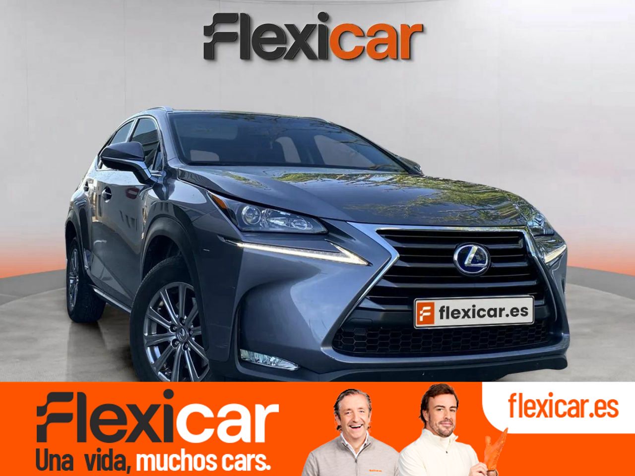 Foto Lexus NX 1