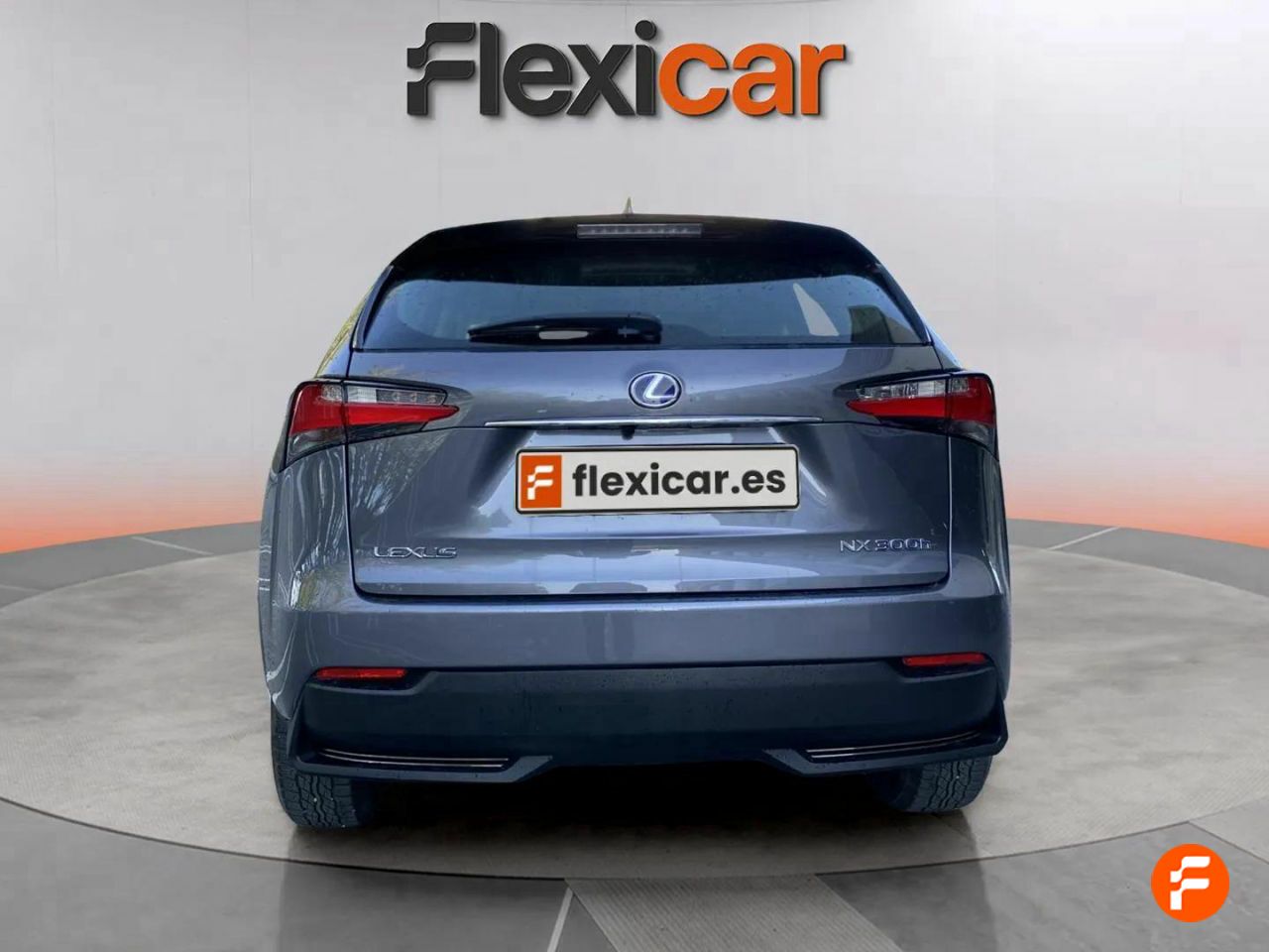 Foto Lexus NX 5