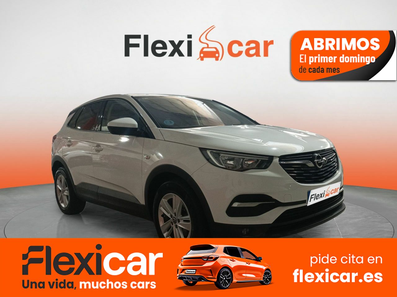 Foto Opel Grandland X 1