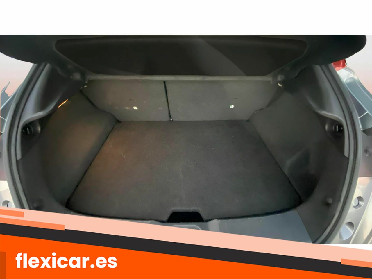 Foto Nissan Juke 29