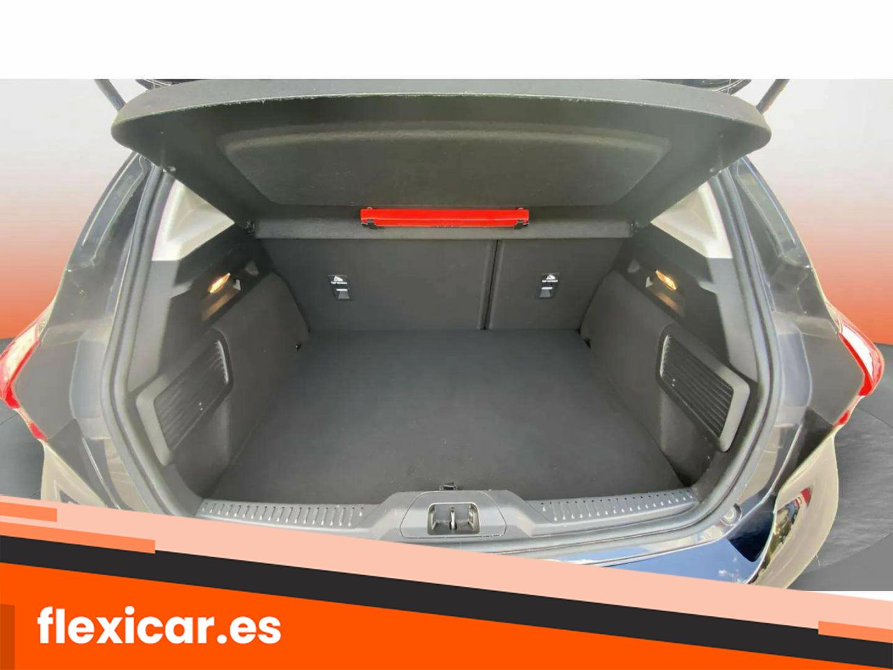 Foto Ford Focus 10