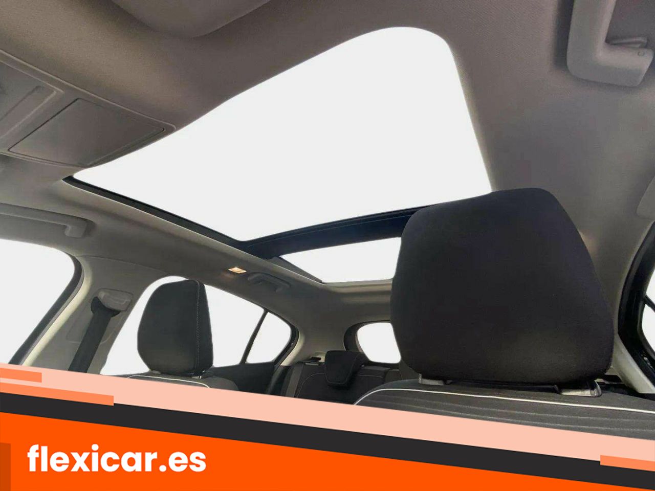 Foto Ford Focus 20