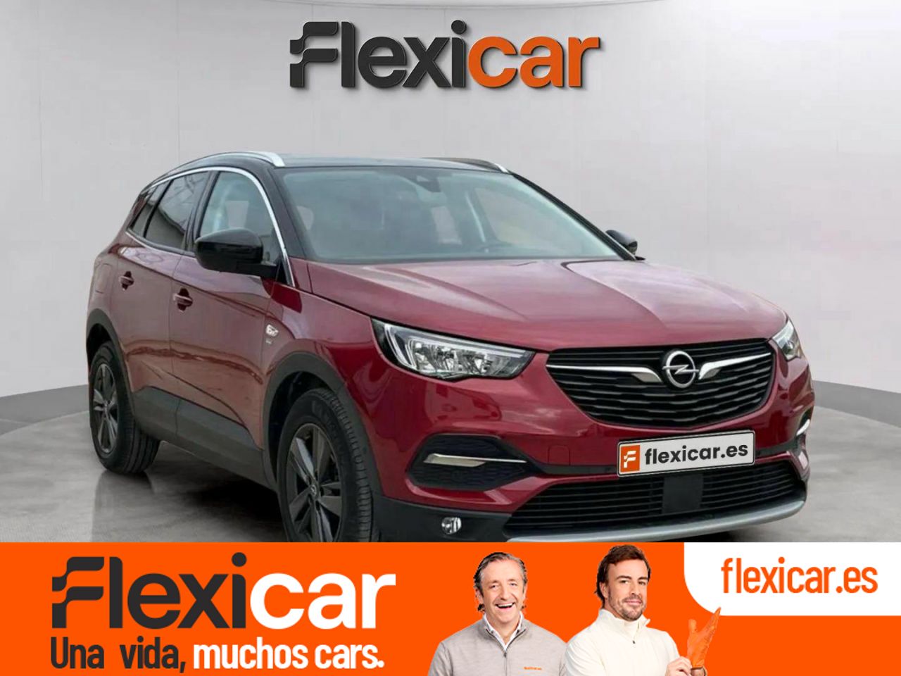Foto Opel Grandland X 1