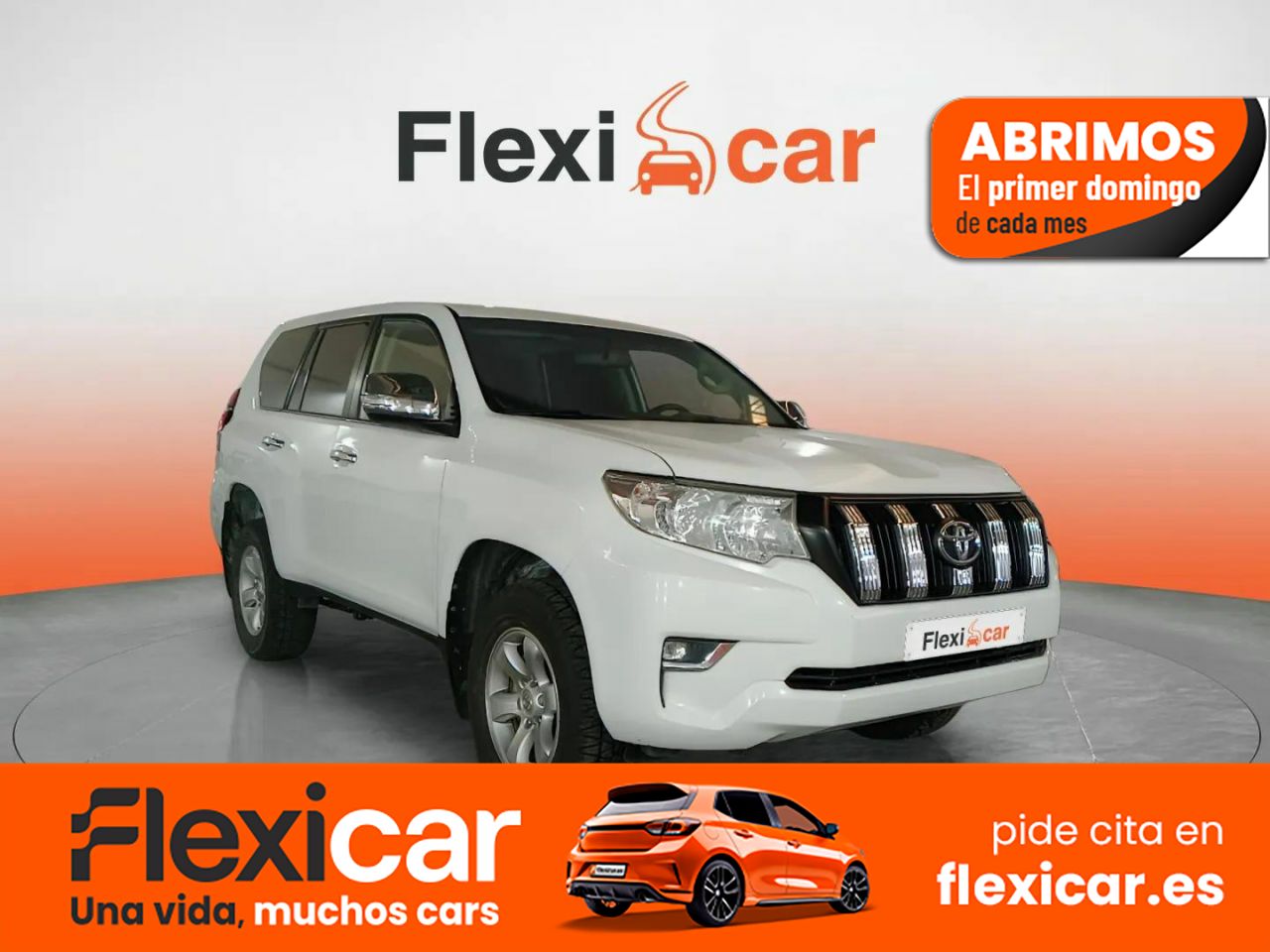 Foto Toyota Land Cruiser 1