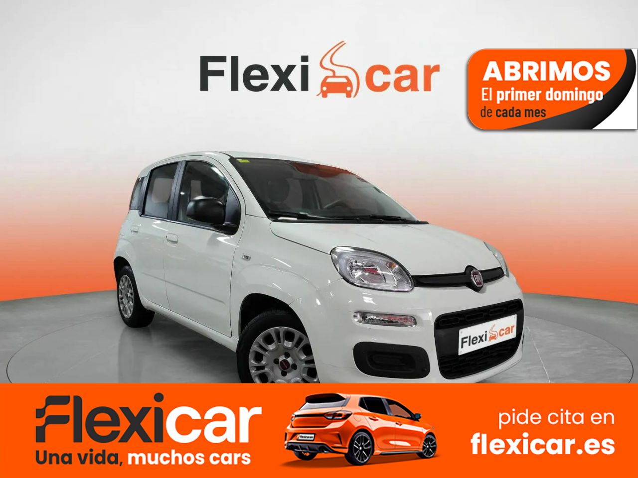 Foto Fiat Panda 1