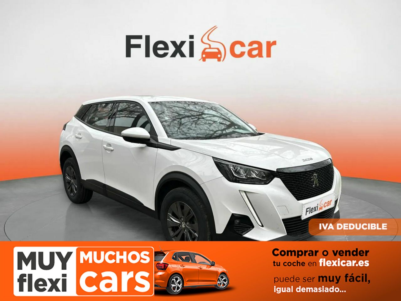 Foto Peugeot 2008 1