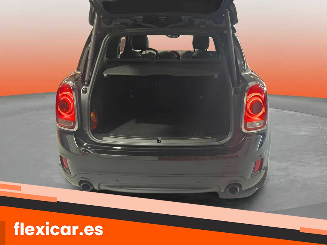 Foto Mini Countryman 17
