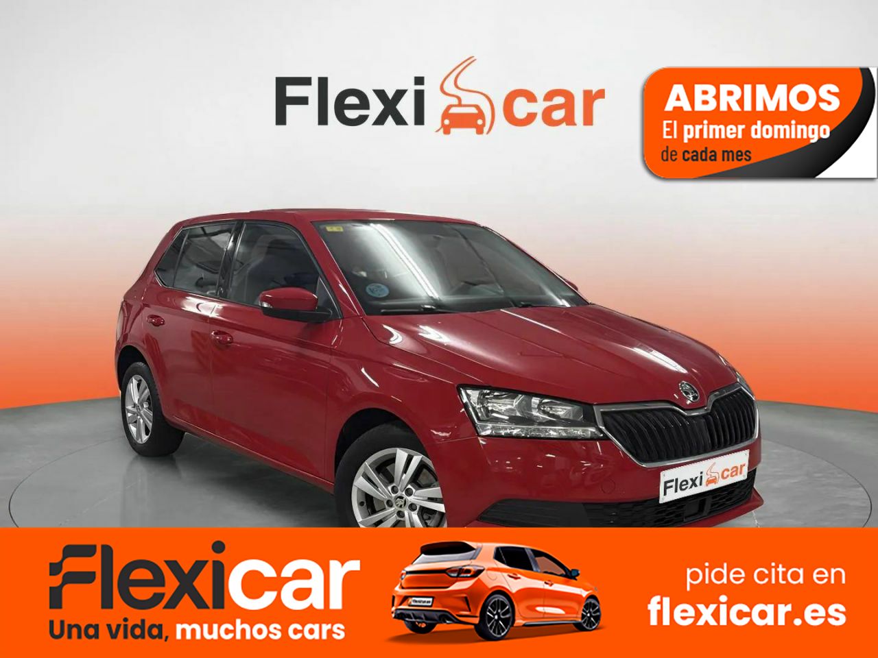 Foto Skoda Fabia 1