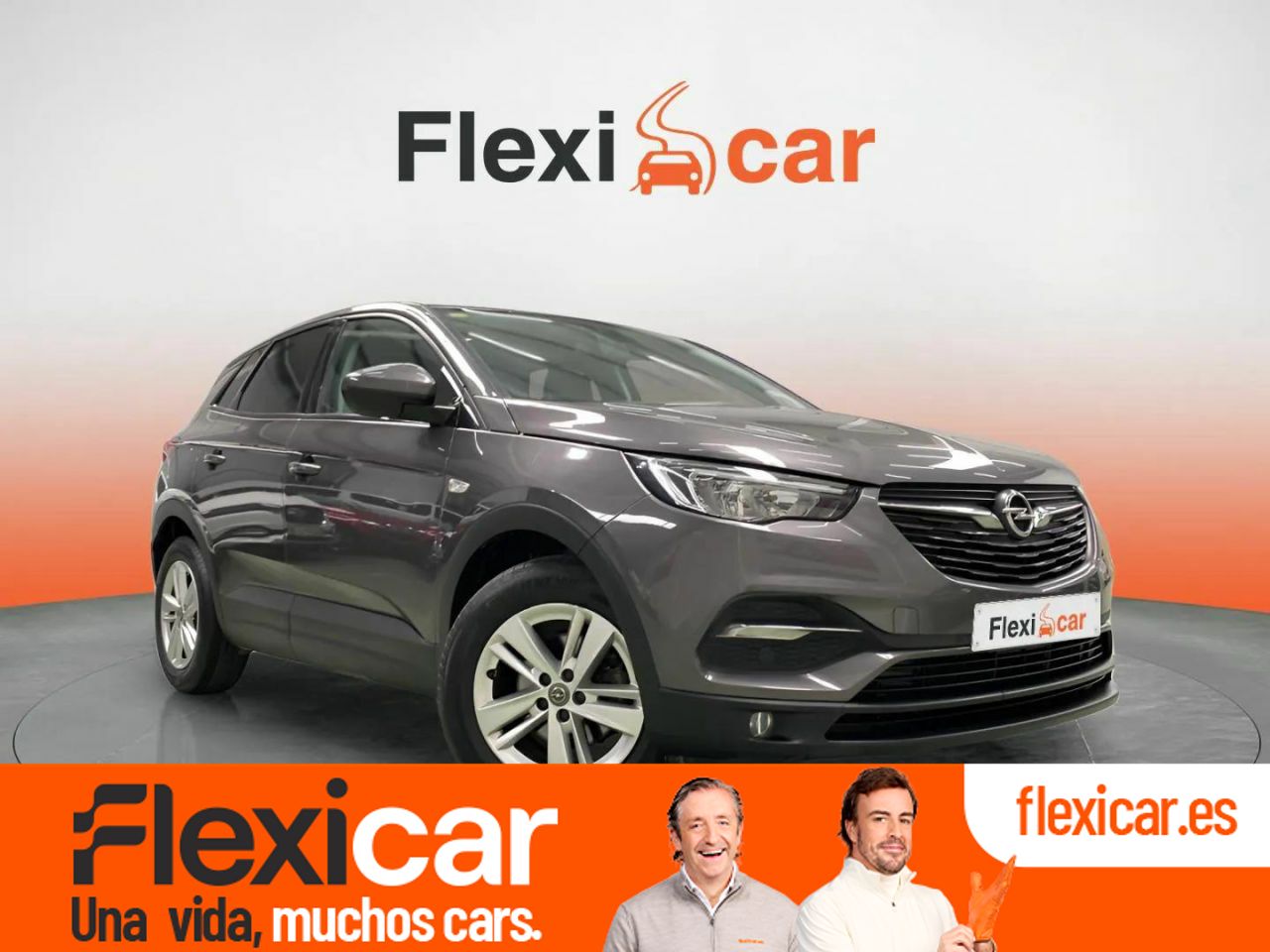 Foto Opel Grandland X 1