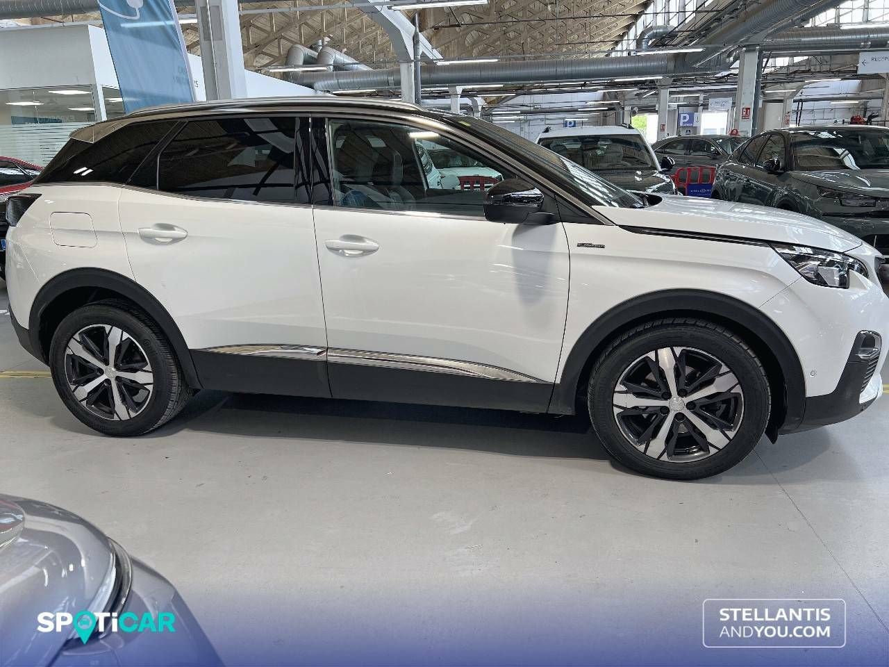 Foto Peugeot 3008 4