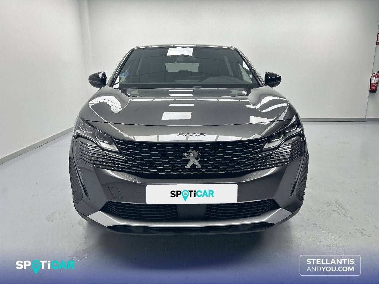 Foto Peugeot 3008 2