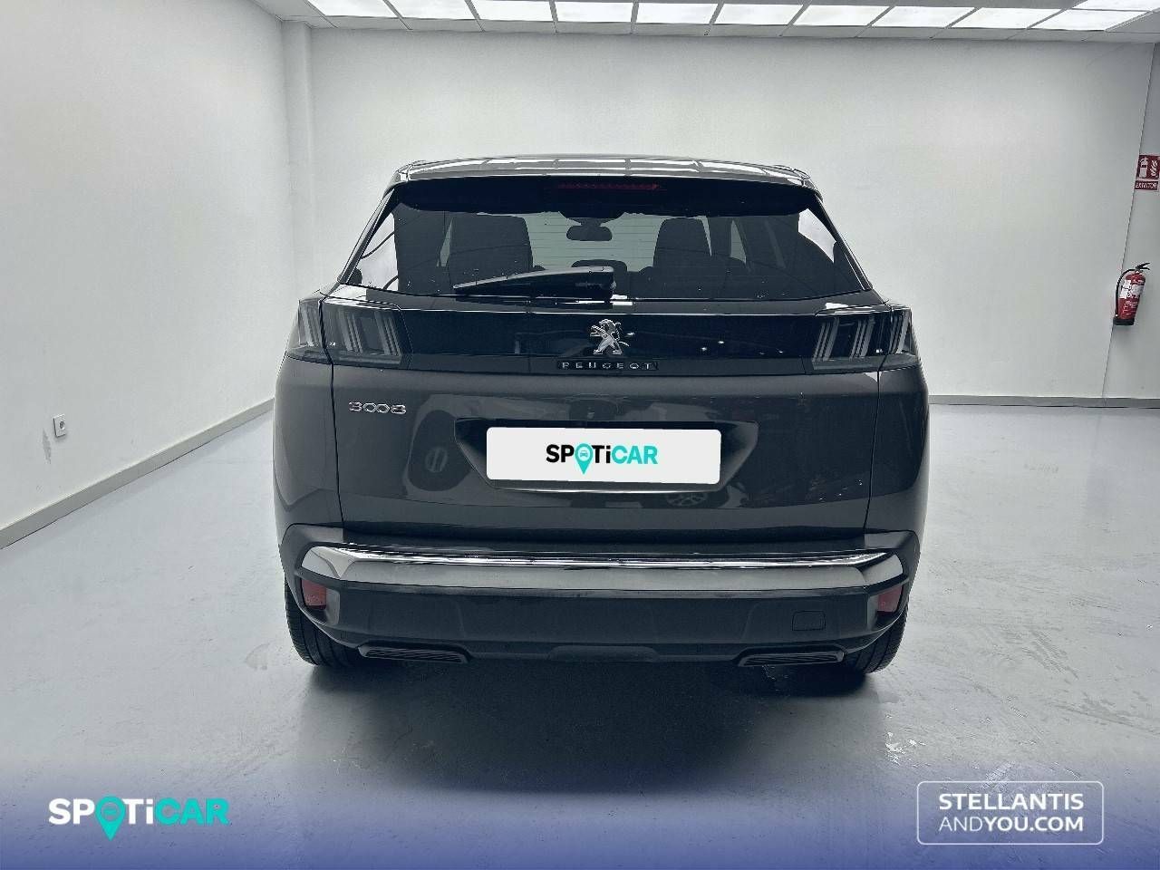 Foto Peugeot 3008 5
