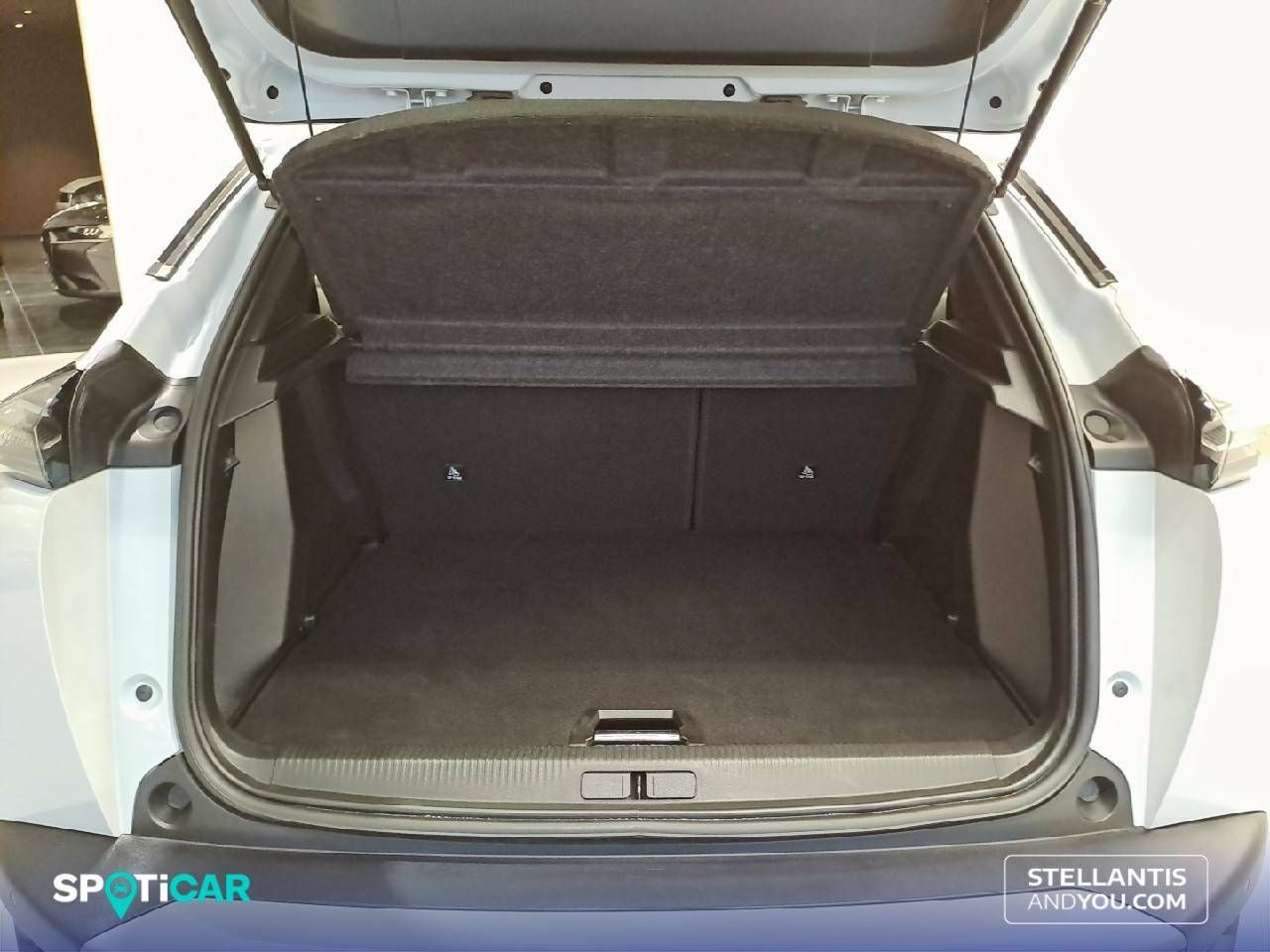 Foto Peugeot 2008 6