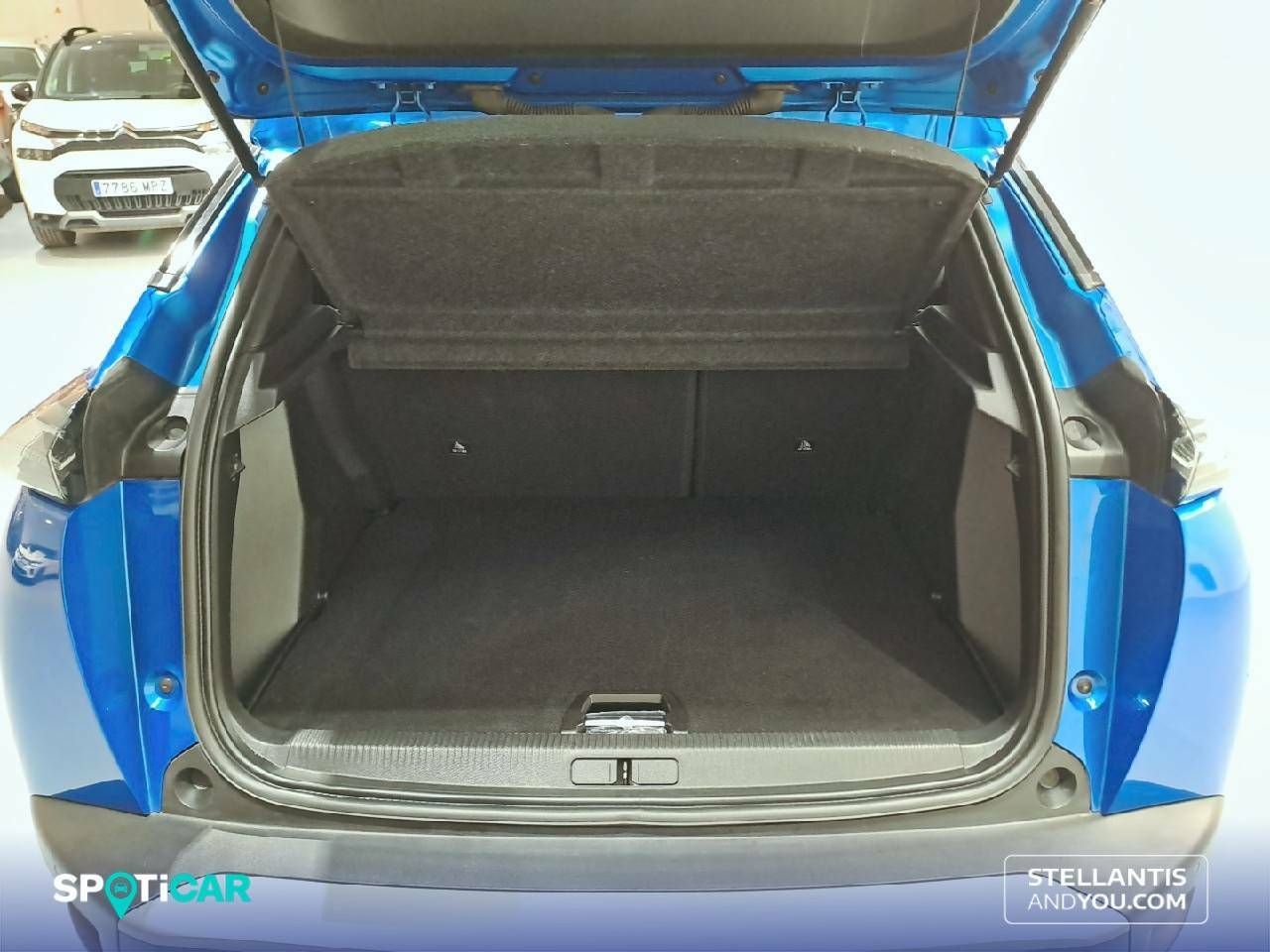 Foto Peugeot 2008 8