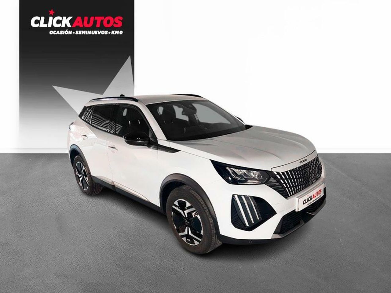 Foto Peugeot 2008 5