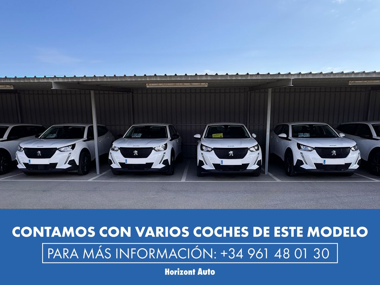 Foto Peugeot 2008 14