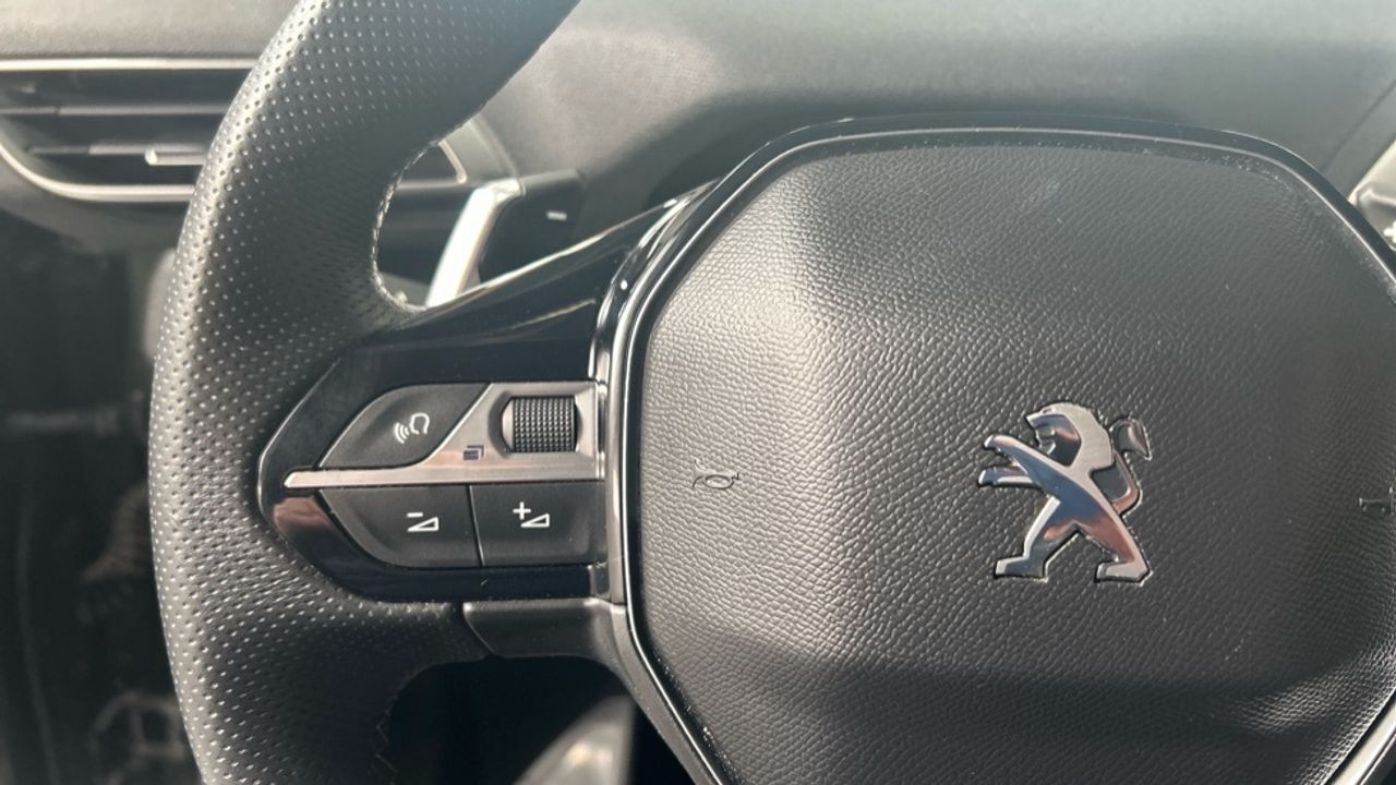 Foto Peugeot 3008 20