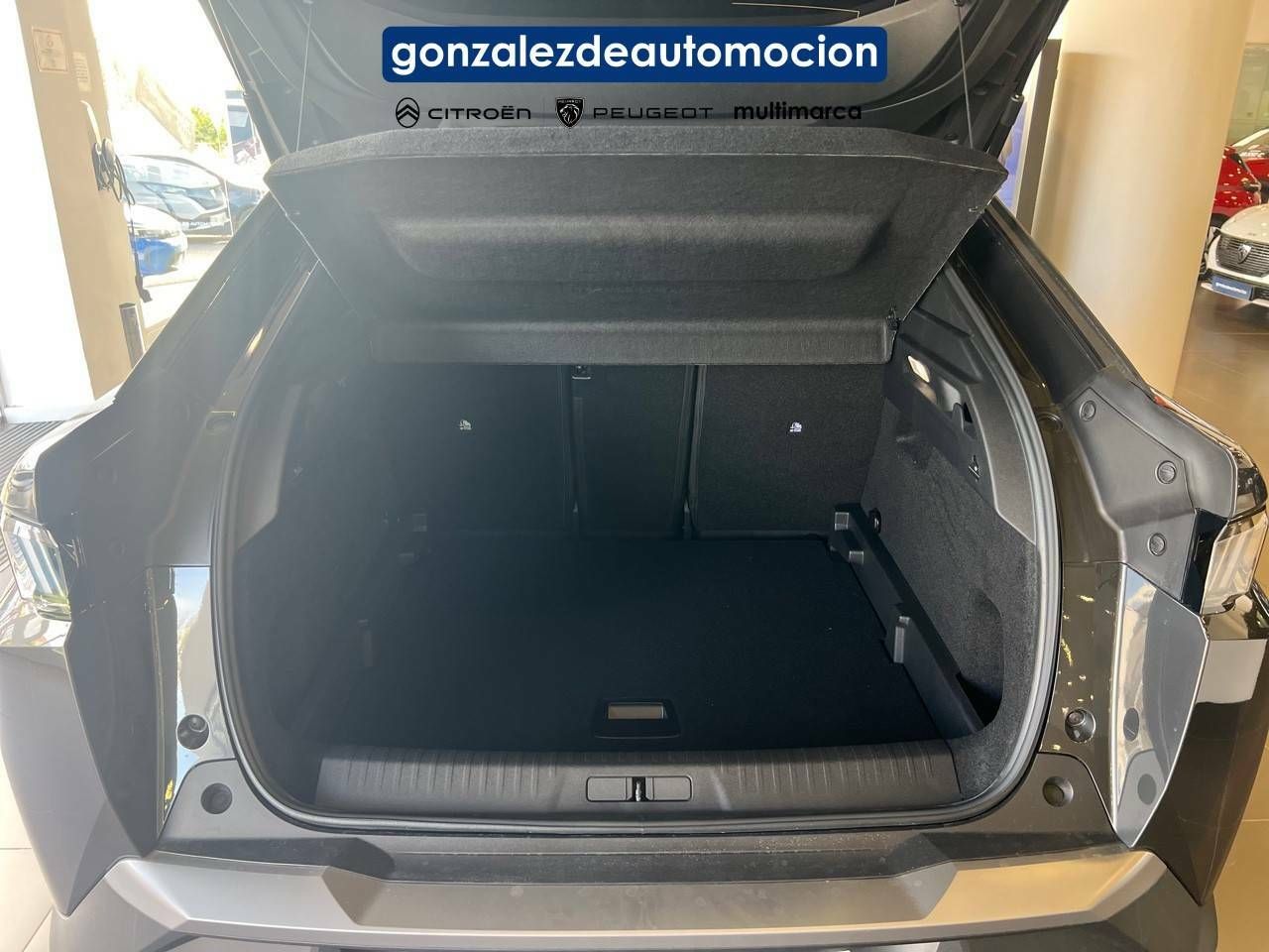 Foto Peugeot 3008 6