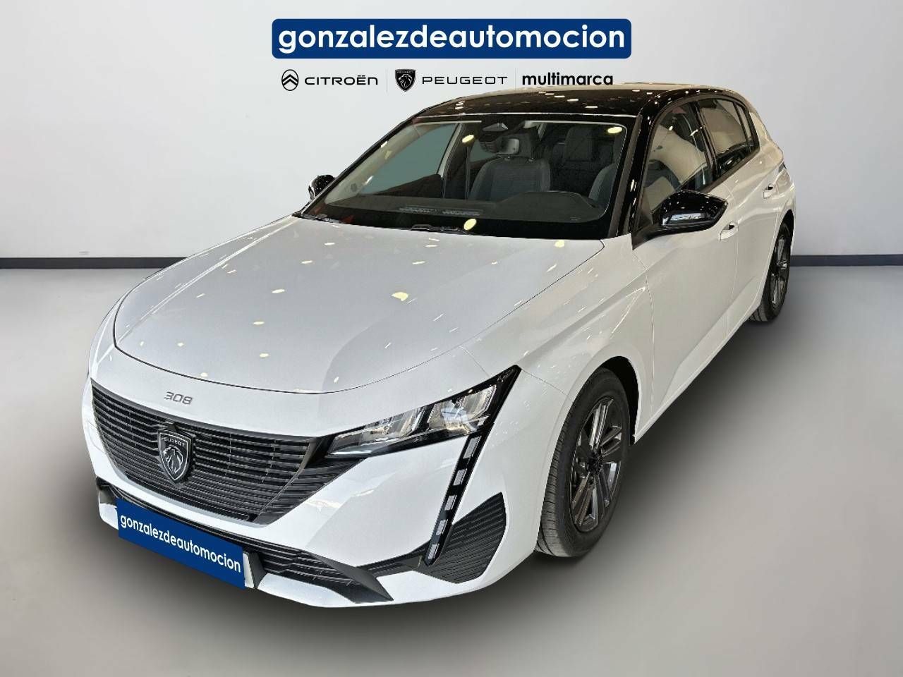 Foto Peugeot 308 1