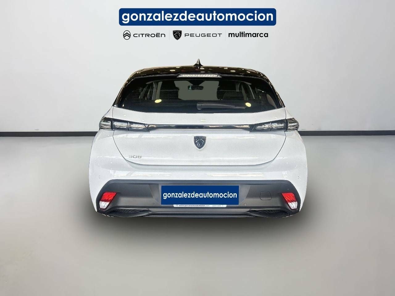 Foto Peugeot 308 5