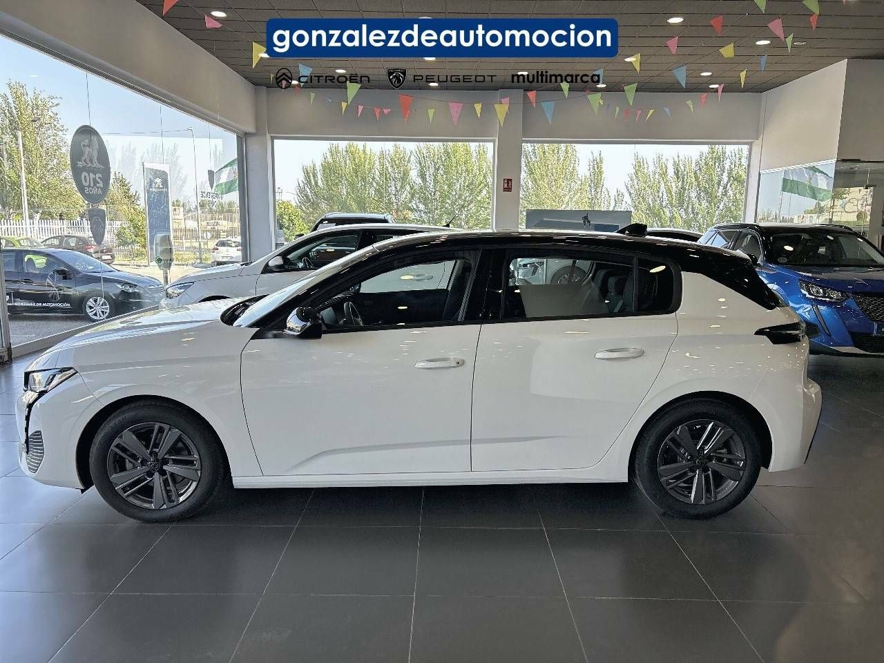 Foto Peugeot 308 12