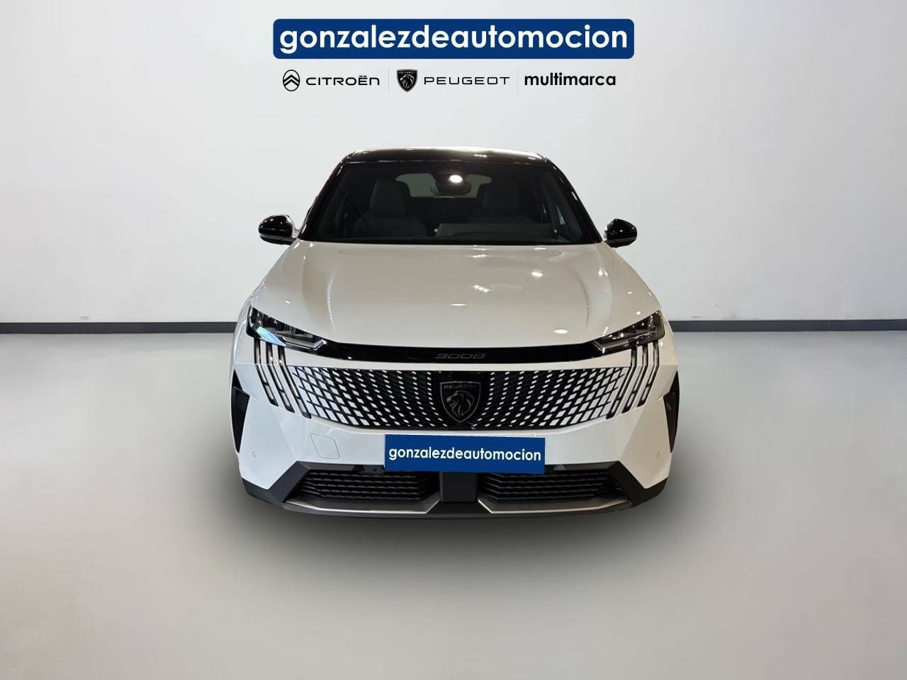 Foto Peugeot 3008 2