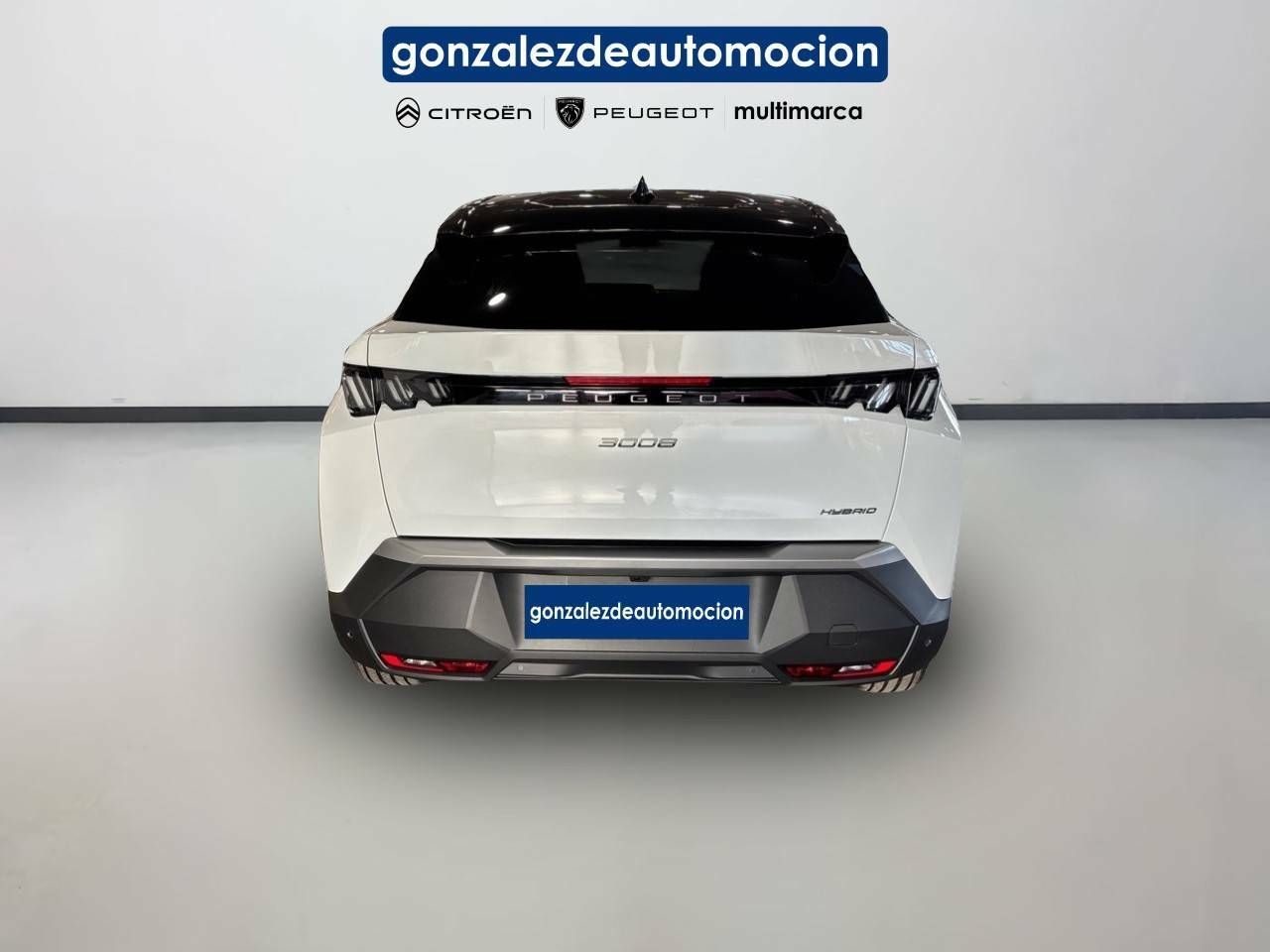 Foto Peugeot 3008 5