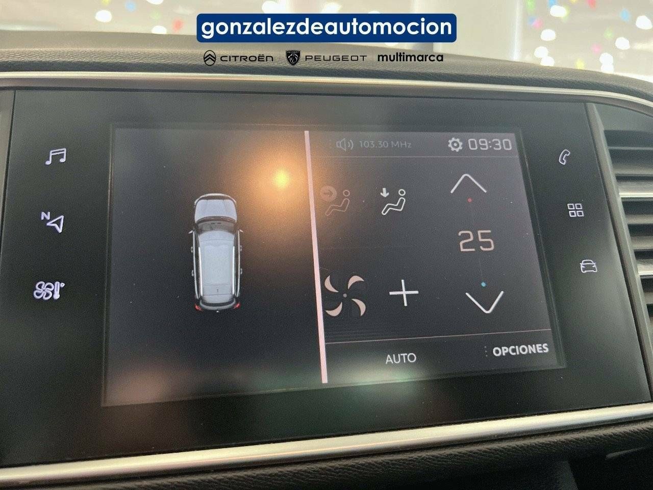 Foto Peugeot 308 14