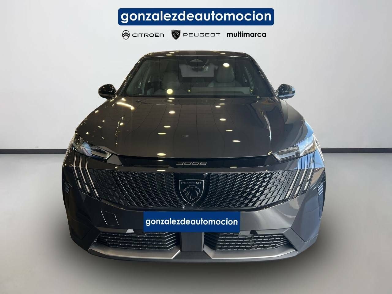 Foto Peugeot 3008 2