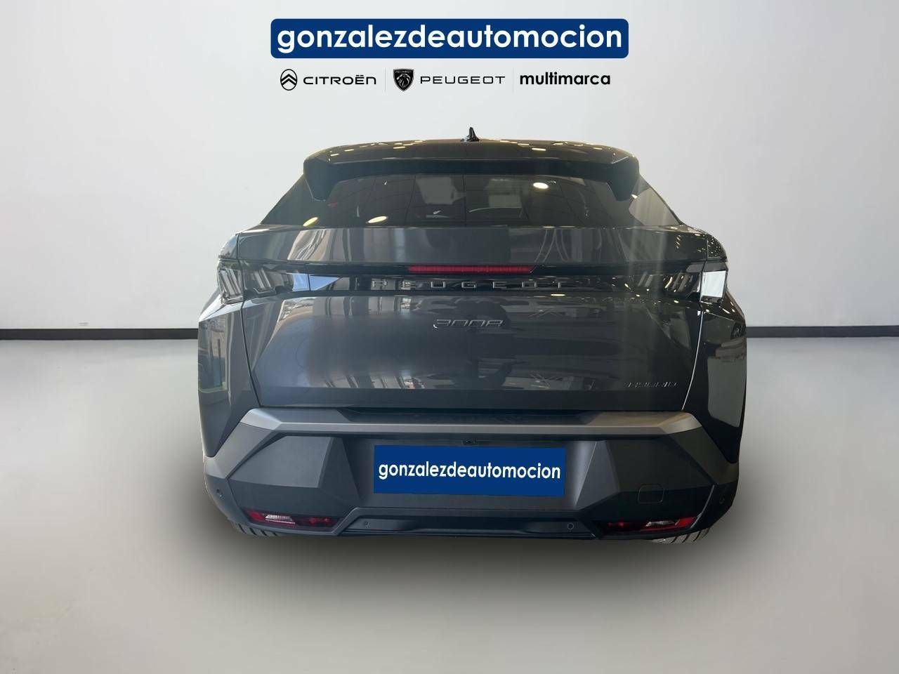 Foto Peugeot 3008 5