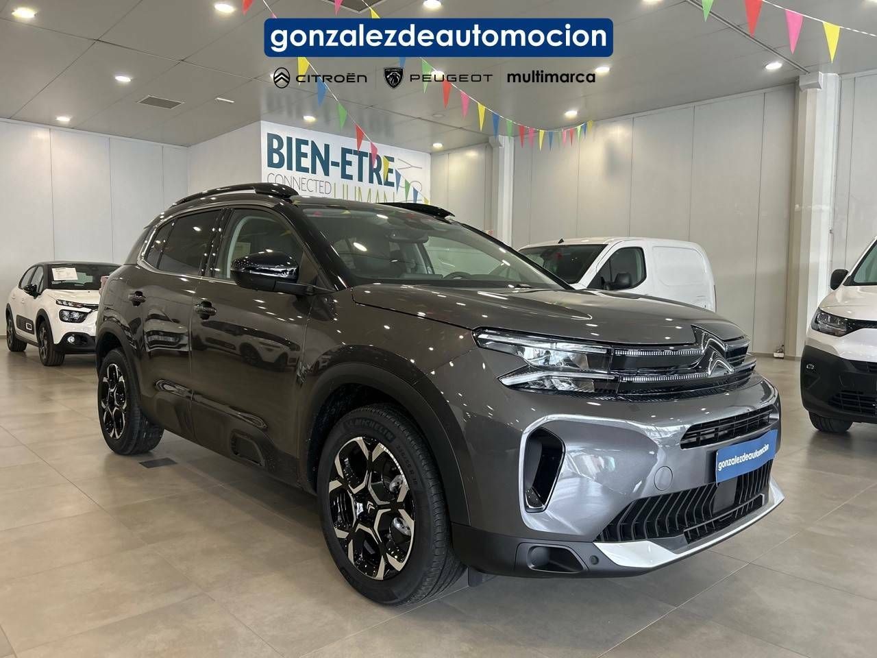 Foto Citroën C5 Aircross 15