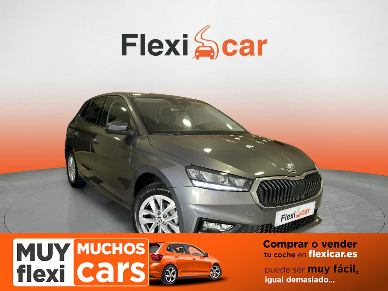 Foto Skoda Fabia 1