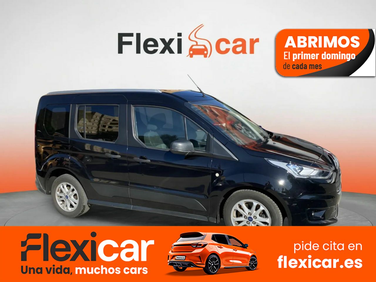 Foto Ford Transit Connect 1